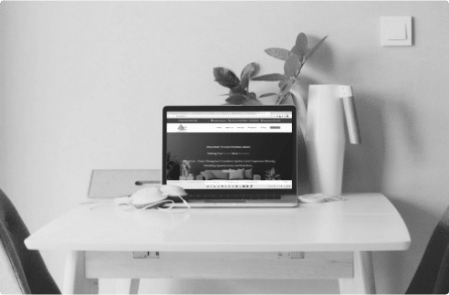 Ecommerce web development