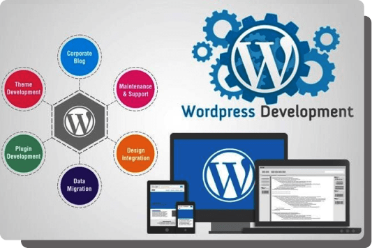 Salons and Spa Website Designing Services in Bangalore